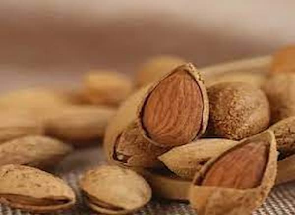 تصویر 1 از خشکبار مرغوب اصفهان خرید